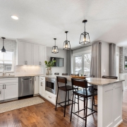 Whole-House Renovation